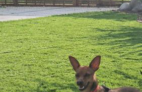 The Lake - Casa Vacanza - Foto 39