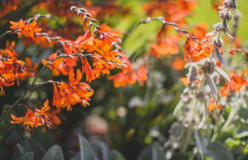 Viereinhalb Eichen - Ferienwohnung am Niederrhein - Foto 38