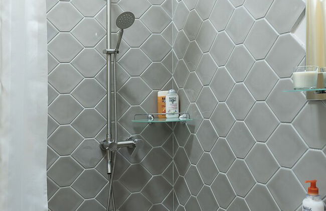 Little France - Foto 49