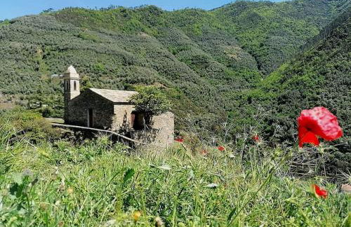 Ca du Bersagliè in centro di Badalucco - Photo 32