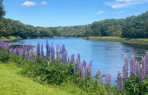 Little Rosslyn - Photo 10