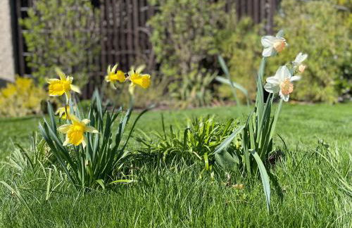außergewöhnliches Apartment - nur 15 min bis Dresden - Foto 30