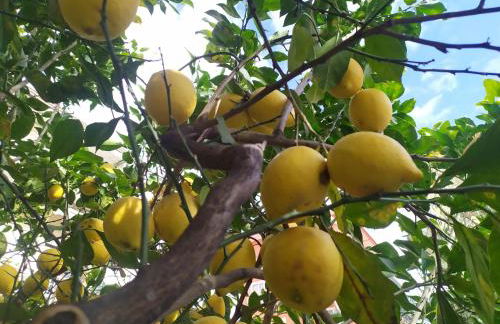 Barnet House Lamezia - Foto 30