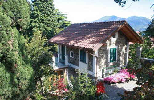 La Camelia d'Oro - Foto 1