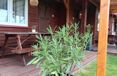 OW HOLIDAY Wicie - Foto 50