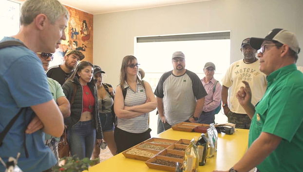 Aprendendo tudo sobre o café mais famoso da Costa Rica