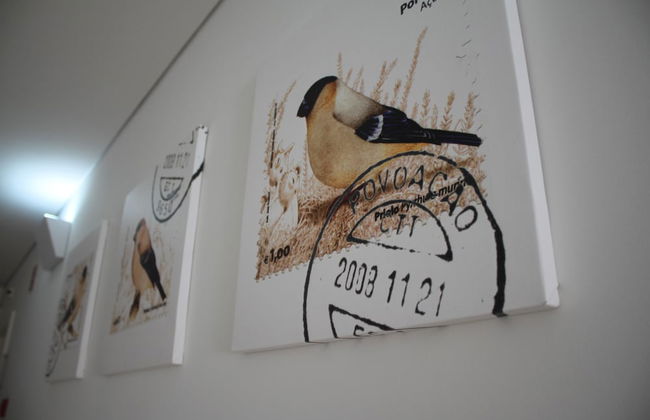 Casa da Cisaltina - Foto 65