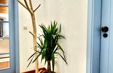 Comporta - Wood & Blue - Foto 37