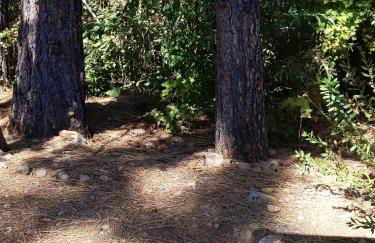 RV11 XLR - 27' Family Toy Hauler - Sleeps 6 - Foto 22