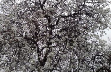 R&Z Getaway - Foto 39