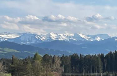 Stilvolles Ferienhaus Chalet 1750 im Allgäu - 200qm - beste Ausstattung - traumhafter Blick - bis 8 Personen - Foto 3