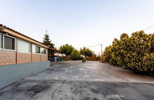 Makarounis Athanasios Traditional Apartments(Ξενώνας) - Foto 54