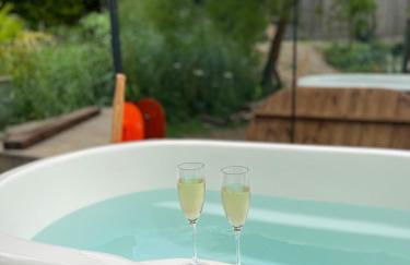 Cosy Mirrored House next to a Magical Swimming Lake - Foto 30