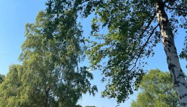 HORAMI Villa - NAMDO Apartment mit Terrasse - Foto 5