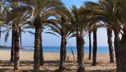 Apartamentos Hawaii - Parking y 50 mt del Arenal - Foto 3