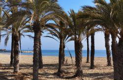 Apartamentos Hawaii - Parking y 50 mt del Arenal - Foto 3