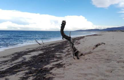 Cala Sardinia Apartment - Foto 39