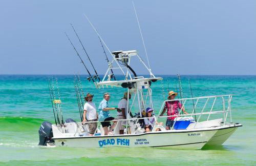 Grayt Paradise - Foto 32