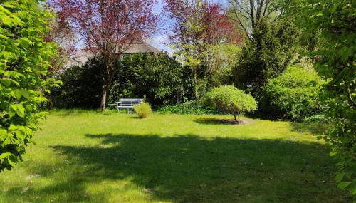 Naturoase - Foto 3, Garden view