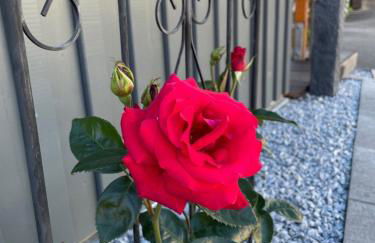 Haus am gelben Berg - Foto 6