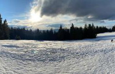 Dom Wakacyjny Letnisko - Foto 62