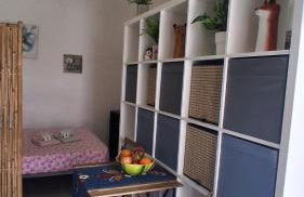 Casinha do repouso - Foto 3