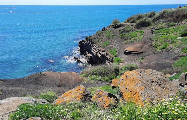 Ferienwohnung in Tonning - Foto 13