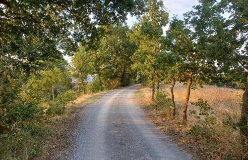 Agriturismo La Bulletta - Foto 69