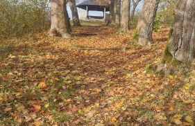 Gemütliche Ferienwohnung in Elbingerode/Harz - Foto 16