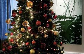 Casal do Arcebispado - Foto 22