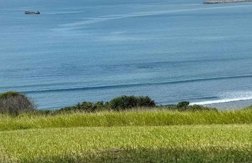 Studio Duplex Praia do Porto - Photo 43