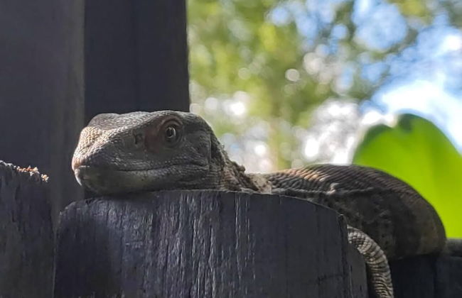 Kruger Kumba - Lahlekile Nathi - Photo 59