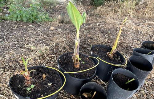 Quinta do Coelhoazul - Foto 12