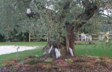 Agriturismo L'isola - Foto 49