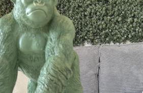 Gîte Relax'O'Zoo à 4min du Zoo - Foto 11