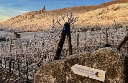 Gite Du Rittersberg - Foto 39