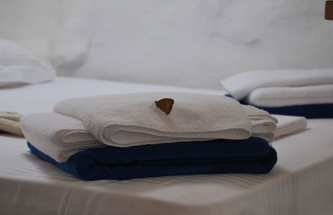 Maistrali Studio Sirocco - Foto 7