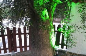 Olive Tree Apartments - Foto 130