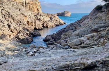 Estartit Delta 4C - Foto 33