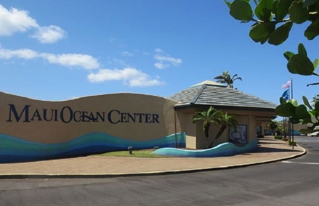 Maalaea Kai 316 1 Bedroom Condo by RedAwning - Foto 24