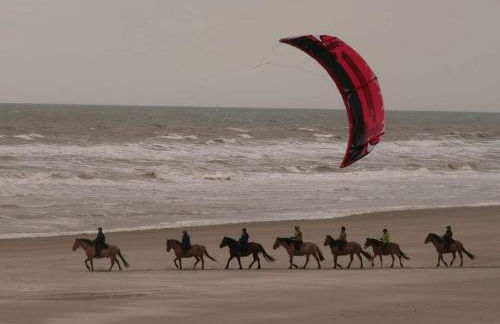 Charme Studio 103 Belle Dune - Foto 42