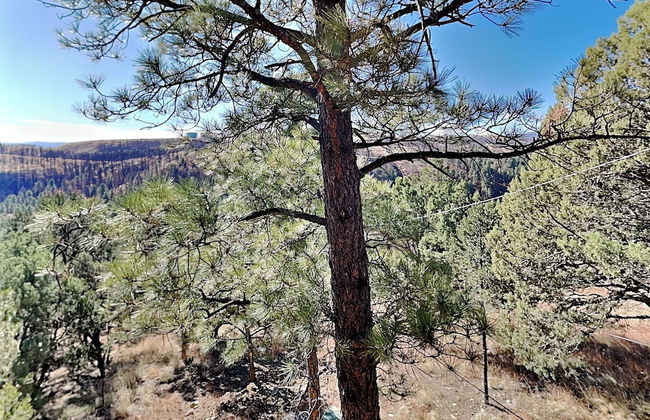 Nana and Papa's Mountain Retreat by Kokopelli Property Management - Foto 27