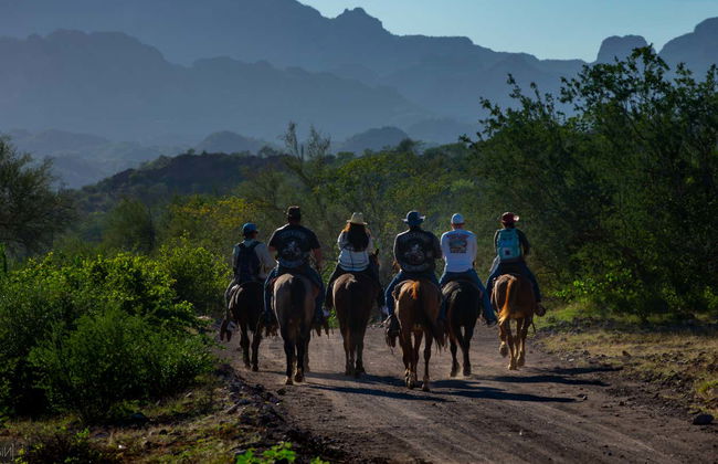 Balade à cheval dans le désert de Basse-Californie - Photo 2