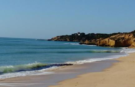 Vista das Ondas - Foto 20