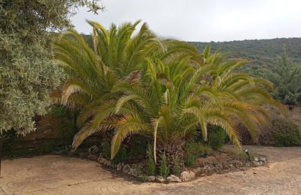 Casas Rurales Cortijo la Cañada - Photo 67