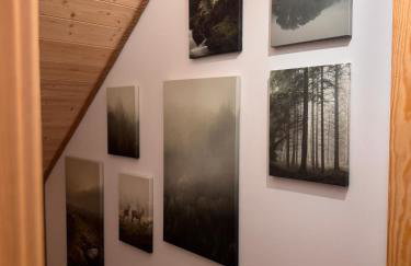 Forest Mood - Foto 50