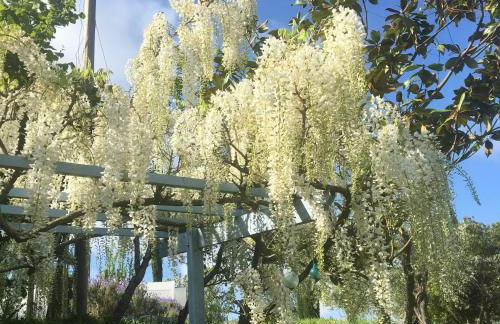 Appartamento con patio privato e giardino tra Pisa e Firenze - Foto 19