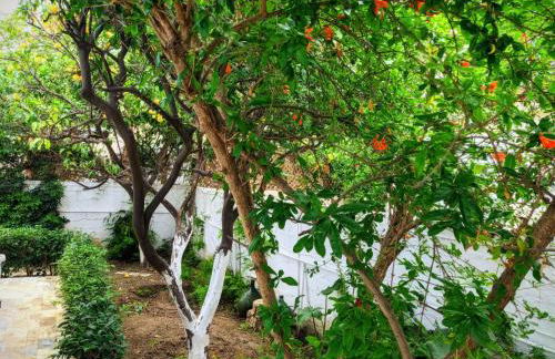 House with garden in city of Rhodes - Foto 17