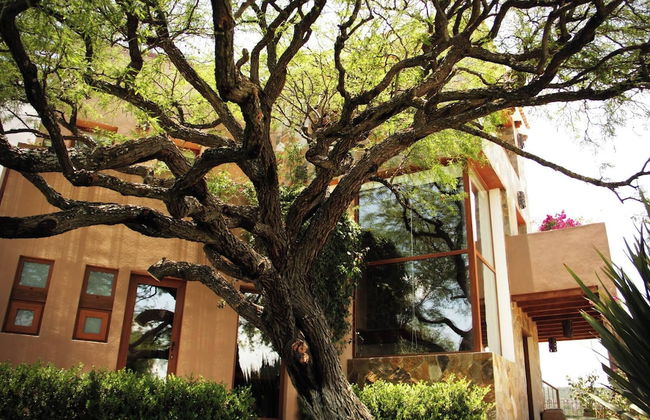 Serene Oasis in San Miguel de Allende 6-bedroom Villa With Hot Tub - Foto 27