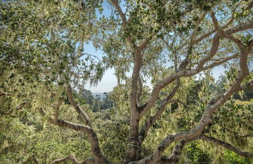 3903 Mabuhay home - Foto 23